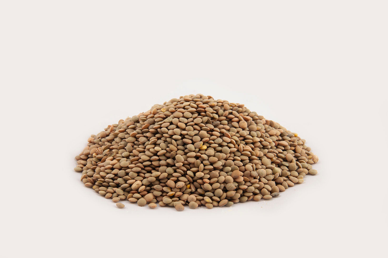 Green Lentils
